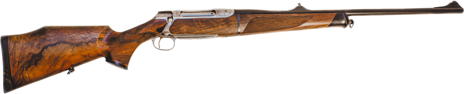 Sauer