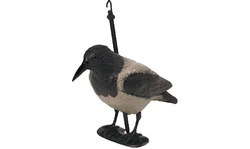 Чучело Birdland ворона серая 7341S