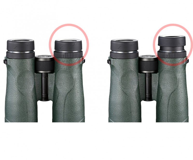 Бинокль Vanguard VEO ED 10X42