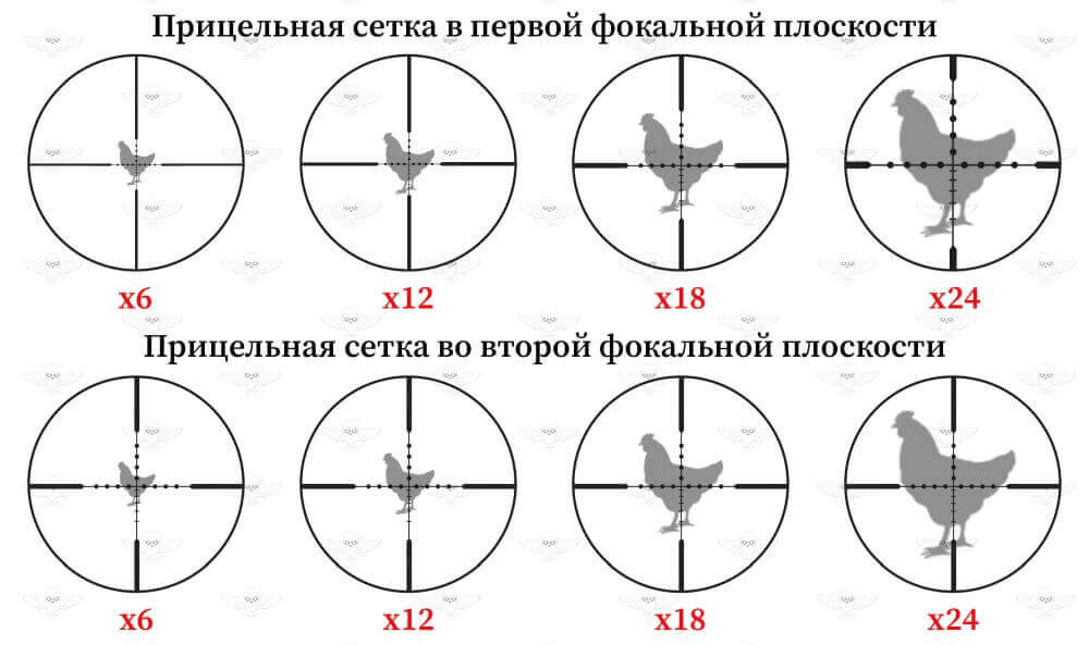 Фокальные сетки