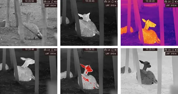 6 түсті схемалар