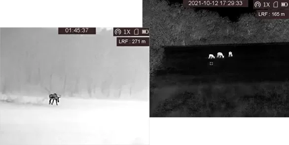 Gryphon GQ35L термобейнелеу құралының анықтау қашықтығы