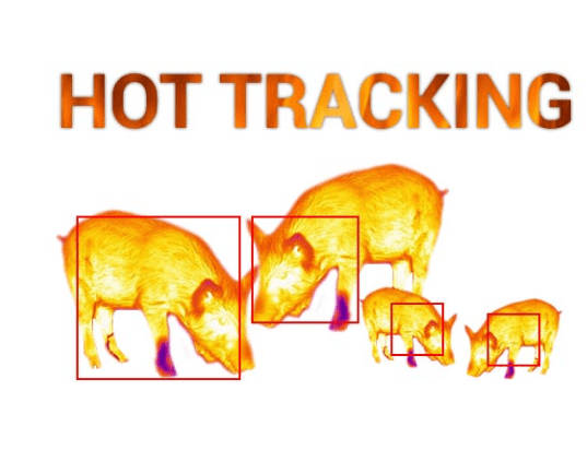 Hot Track