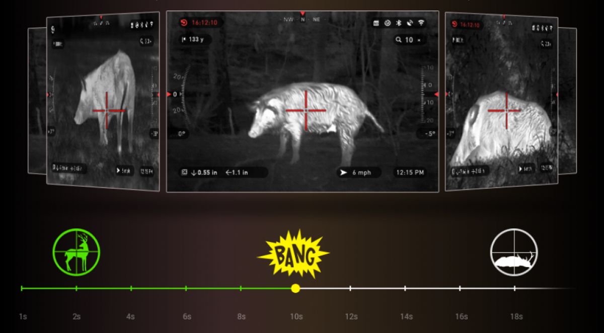 Изображение тепловизора