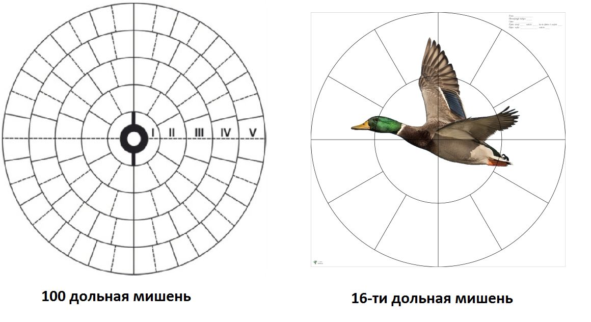 Разница дольных мишеней